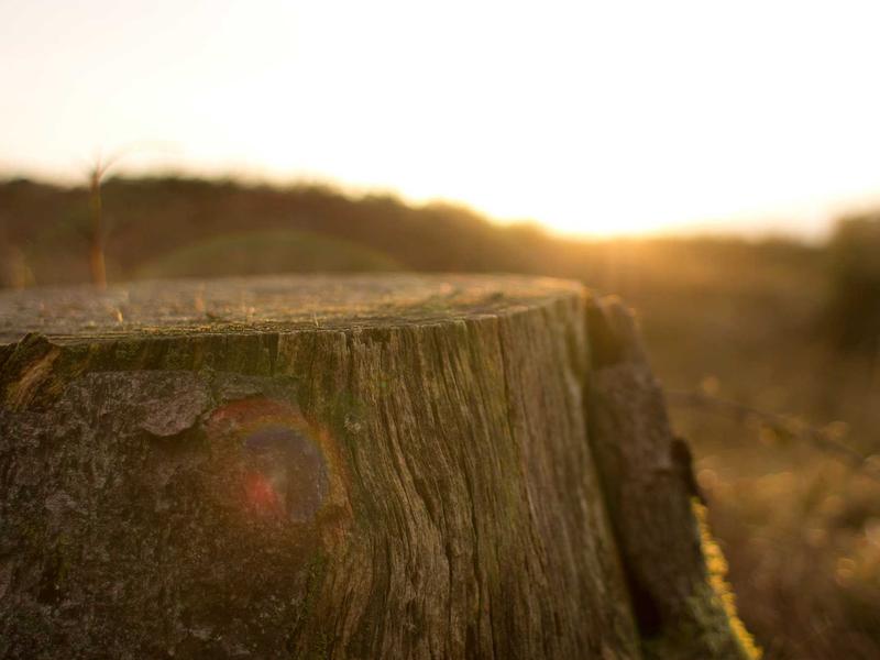 sudoku background music